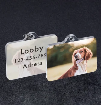 Kisállat fotócímkék nyakörv ingyenes egyedi kutya képcímke Anti-elveszett azonosító címkék névtábla macska kutya nyakörvek kutya aranyos háziállatok címke kellékek