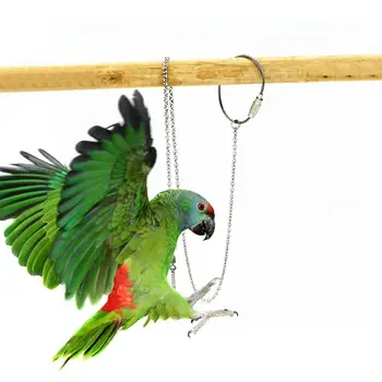  Madár papagáj láblánc rozsdamentes acél boka lábgyűrű állvány lánc Kültéri repülő oktató madár kiegészítők SMLXL